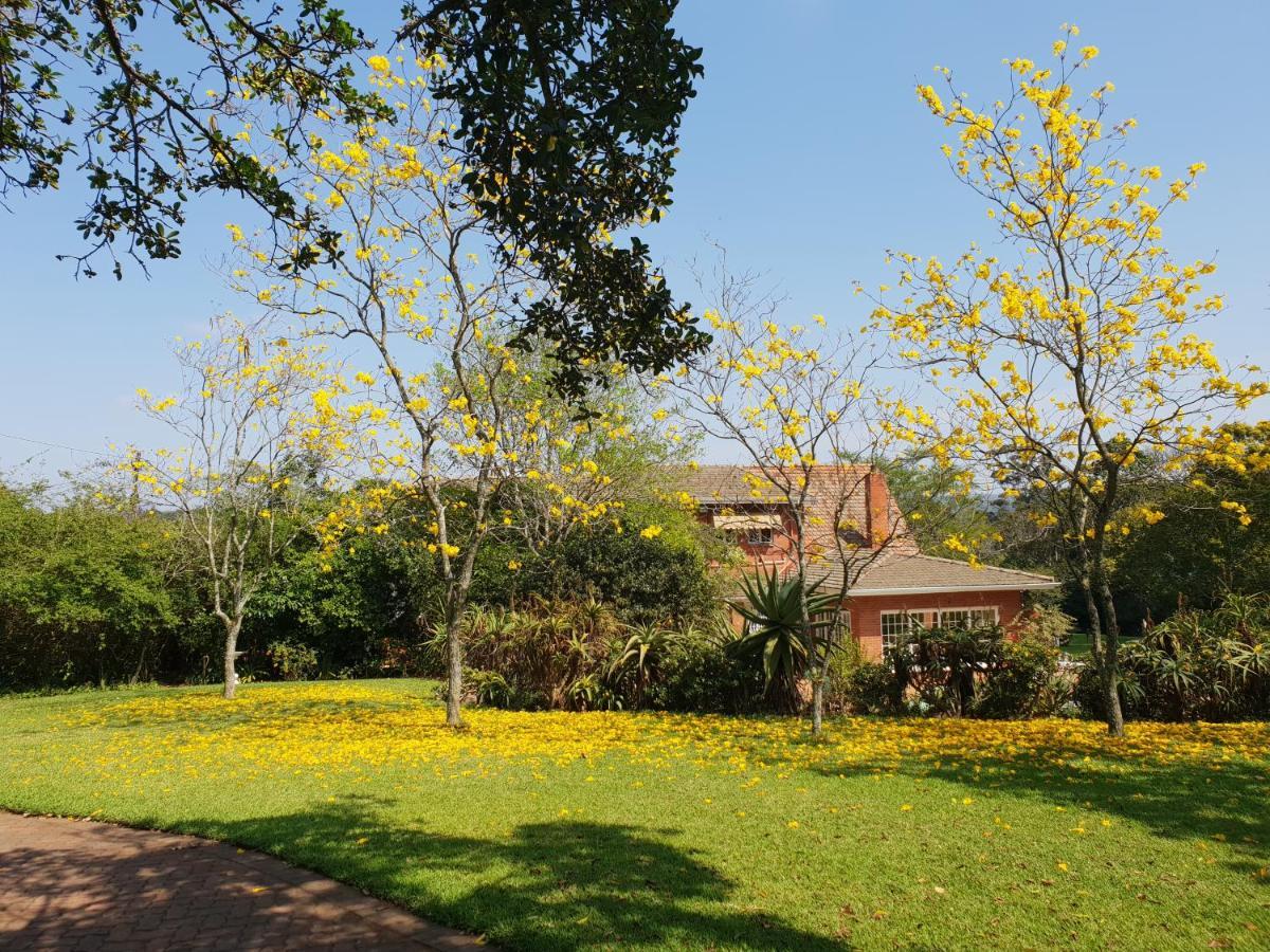 18 Pioneer Bnb Kloof Exteriör bild
