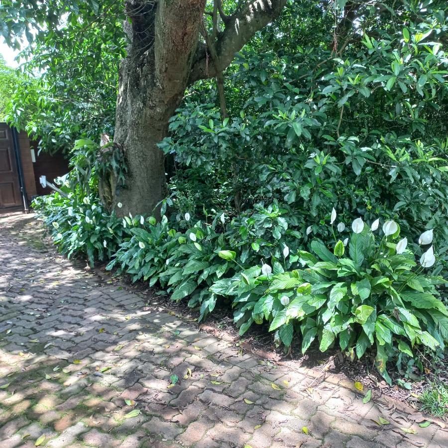 18 Pioneer Bnb Kloof Exteriör bild