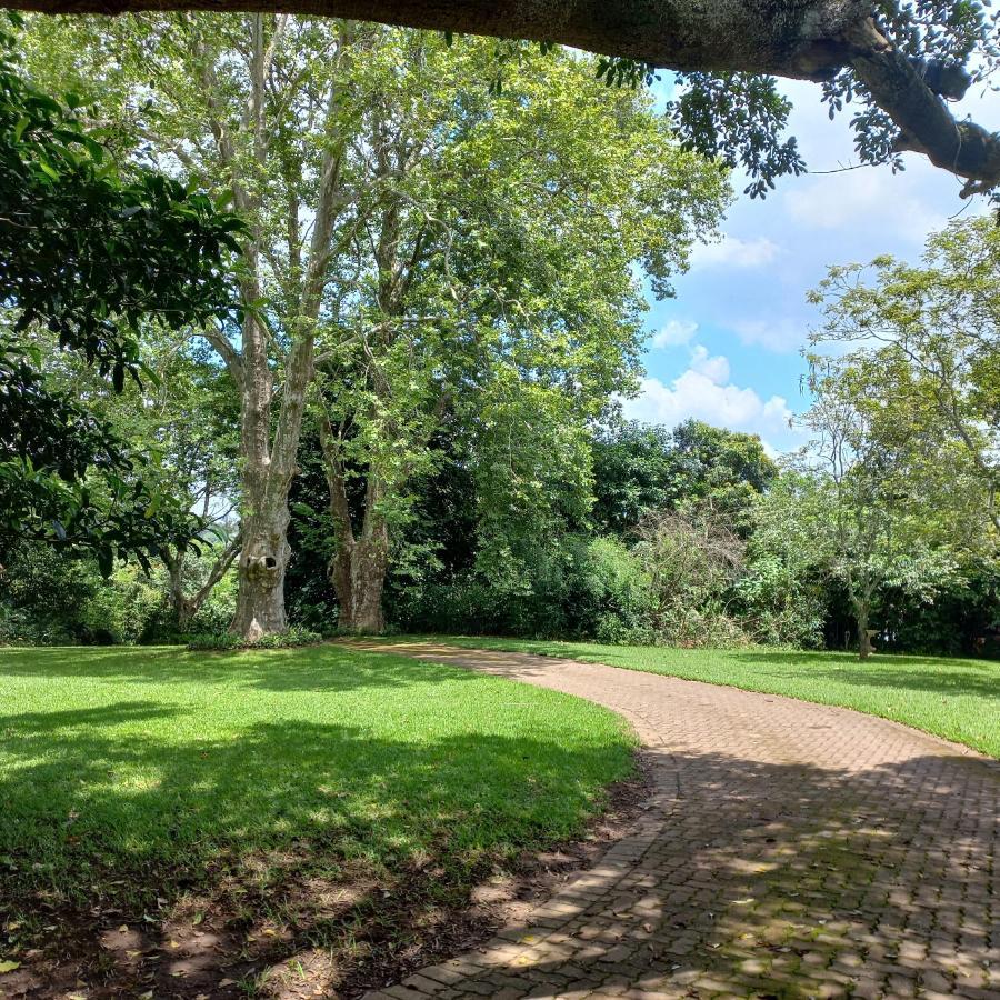 18 Pioneer Bnb Kloof Exteriör bild